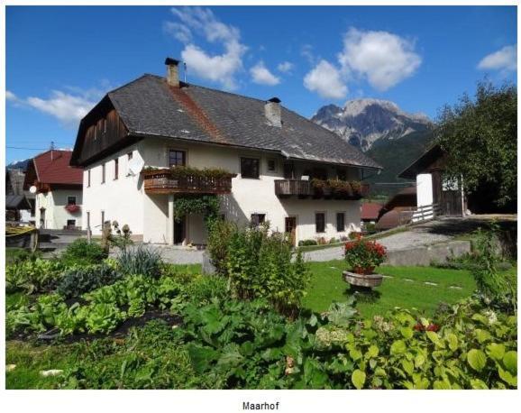 Lissis Bauernhof Appartments Gundersheim Luaran gambar